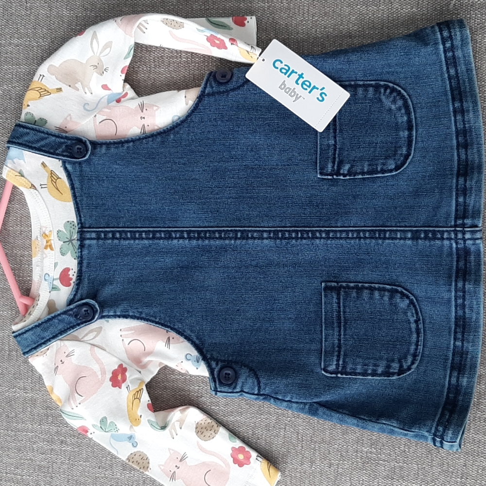 Carter's Jumper Set